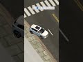Black leni thi reason #carlovers #0520 #black #white #gameplay #trending #carparking