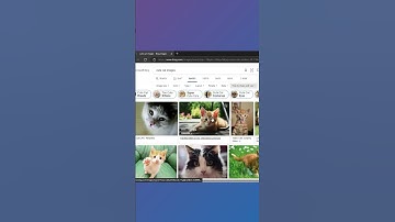 📷 Effortlessly Add Images to Markdown Files with Drag and Drop! #shorts