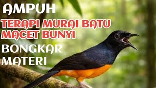 terapi murai batu ampuh pulihkan mental stres macet bunyi 