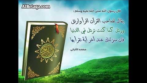 زكي داغستاني / تلاوة بالتحقيق من سورتي الصافات و ص