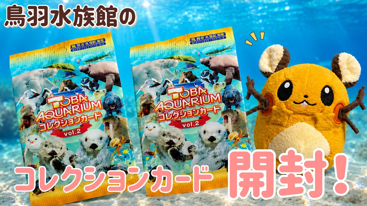 Super Exciting] Toba Aquarium's 