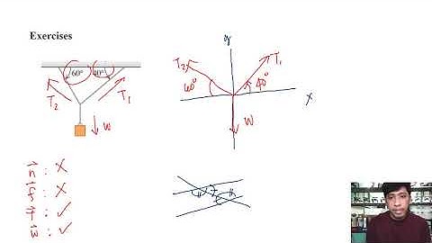 Lesson 4.3 Free-Body Diagrams