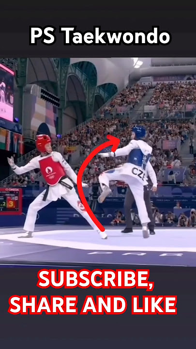 Technique of taekwondo fight 🥋