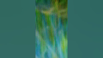 LCD SCREEN - MARCO #SHORTS