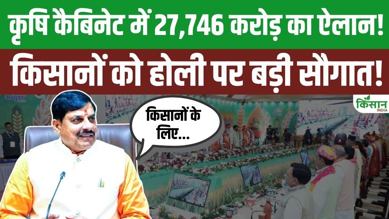 Mohan Yadav ने किसानों को दिया Holi का तोहफा! Agriculture Cabinet में किए 27,746 करोड़ के बड़े ऐलान!