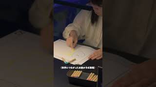 世界とつながったお絵かき水族館　チームラボ　学ぶ未来の遊園地と　花と共に生きる動物たち　世界とつながったお絵かき水族館