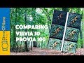 Film Photography - Comparing Velvia 50 and Provia 100 in the Forest