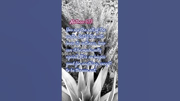 Zout van de aarde #inspiratie