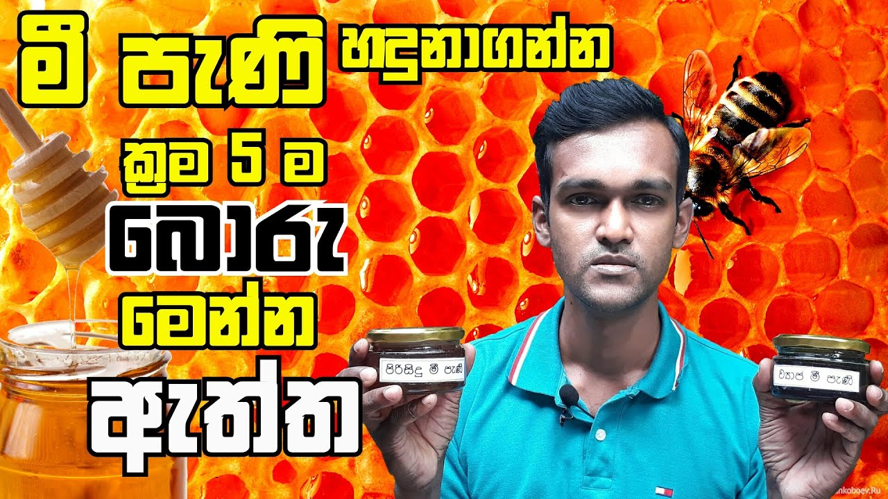 නියම මී පැණි හඳුනාගන්නේ කෙසේද? | How to identify real Bee honey?