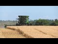 Wheat Harvest With a John Deere 9870  combine Harvesting Wheat