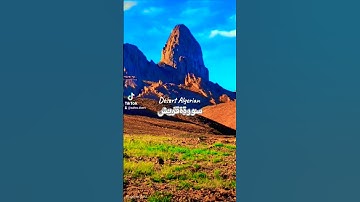 سورة قريش #اكسبلور #القزابري #المصحف #quotes #yasseraldossary #reminder #دويتو #راحة_نفسية #تصويري