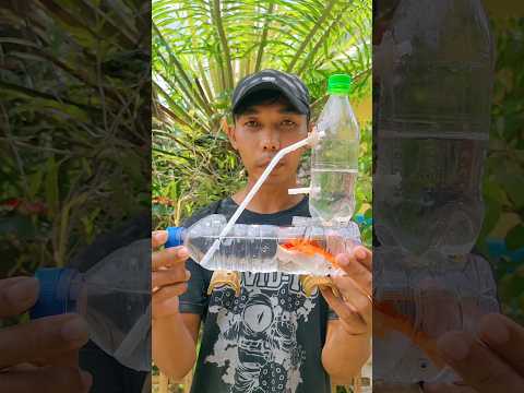 BUAT AKUARIUM DARI BOTOL BEKAS #diy #viral #art #craft #video #shorts