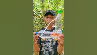 BUAT AKUARIUM DARI BOTOL BEKAS #diy #viral #art #craft #video #shorts