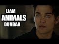 Liam Dunbar | Animals