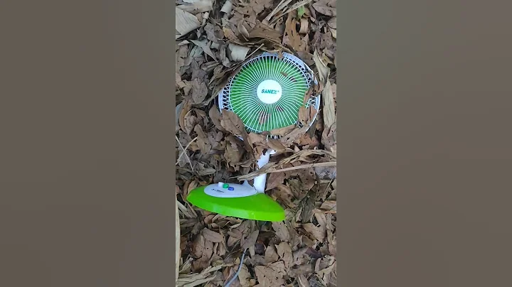 Fan in the Jungle #shorts #fan #kipasangin