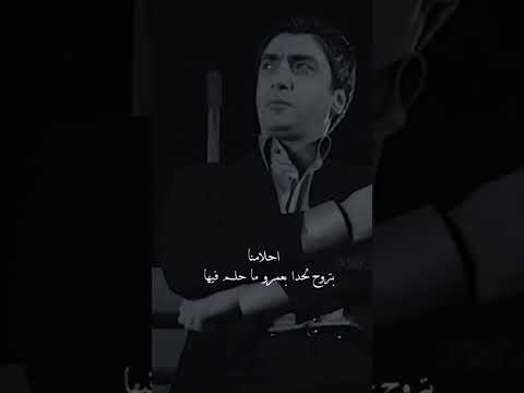 أحلامنا بتروح لحدا بعمرو ما حلم فيها