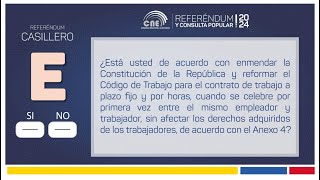 PREGUNTA DEL REFERÉNDUM 2024 CASILLERO E