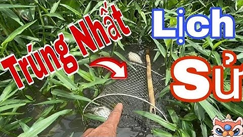 Trúng Cá Lớn Nhất Năm | Kỷ Lục Đặt Lờ Cá Lóc Mùa Nước Nổi bão số 10 Min Thắng vlog