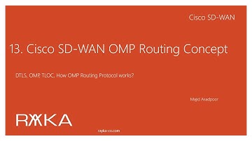 13. Cisco SD-WAN OMP Routing Concept