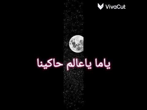 اوضاع تحير فينا