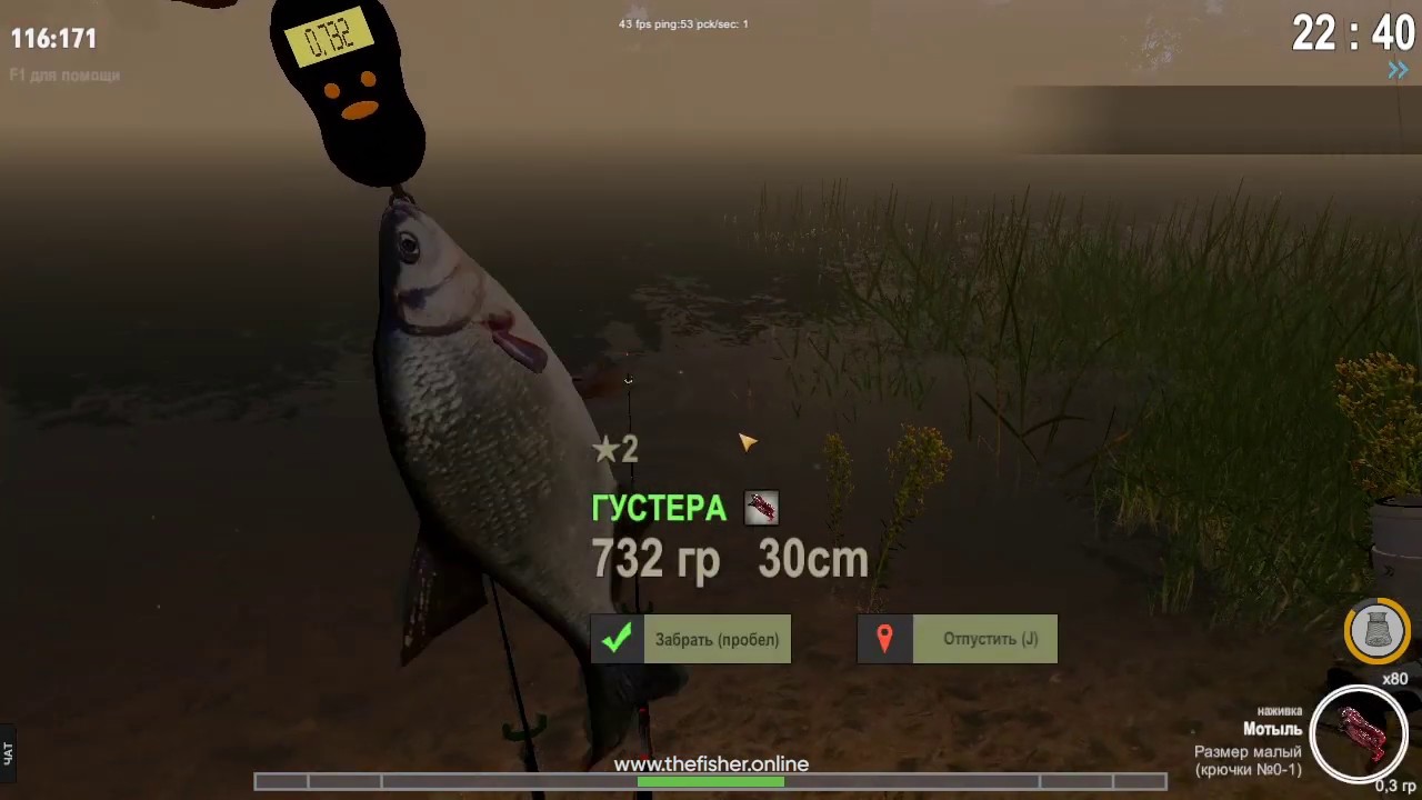 World of fishers клевалка World of fishers клевалка
