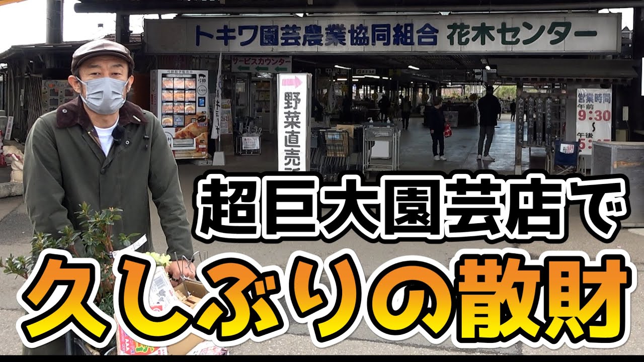 【買い物】茨城の有名園芸店がヤバすぎました！！！【カーメン君】【園芸】【ガーデニング】