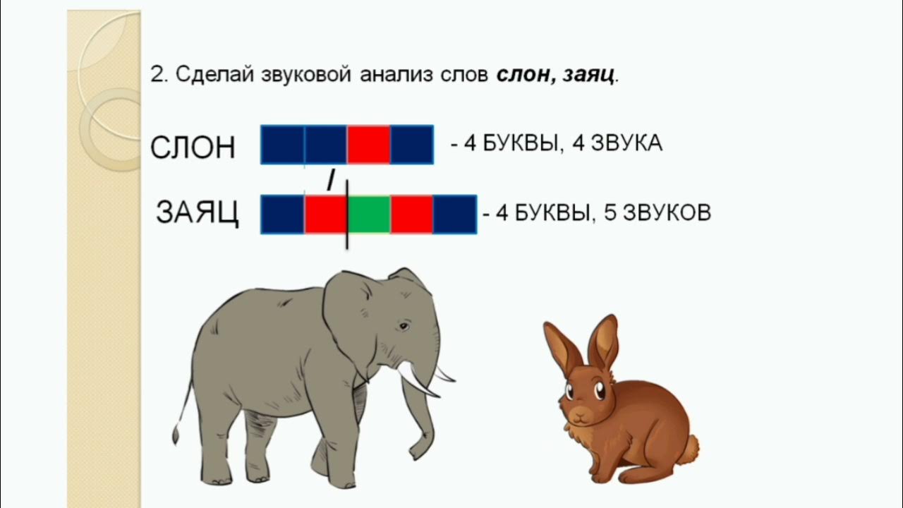 Цыпленок звуковая схема 1 класс
