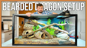 Beste baardagaamopstelling