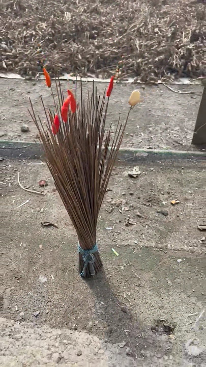 ALAT NERANG UDAN WONG JOWO#shorts#fyp#viral