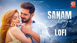 Sanam Aa Gaya - Lofi | Payal Dev | Stebin Ben | Kunaal Vermaa | Rubina Dilaik, Abhinav | New Song