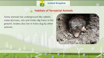 Knowledge Tree Books E.V.S Class 3 Chapter 7