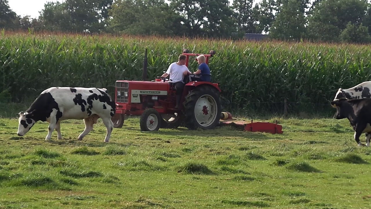 Het paard achter de wagen spannen - YouTube