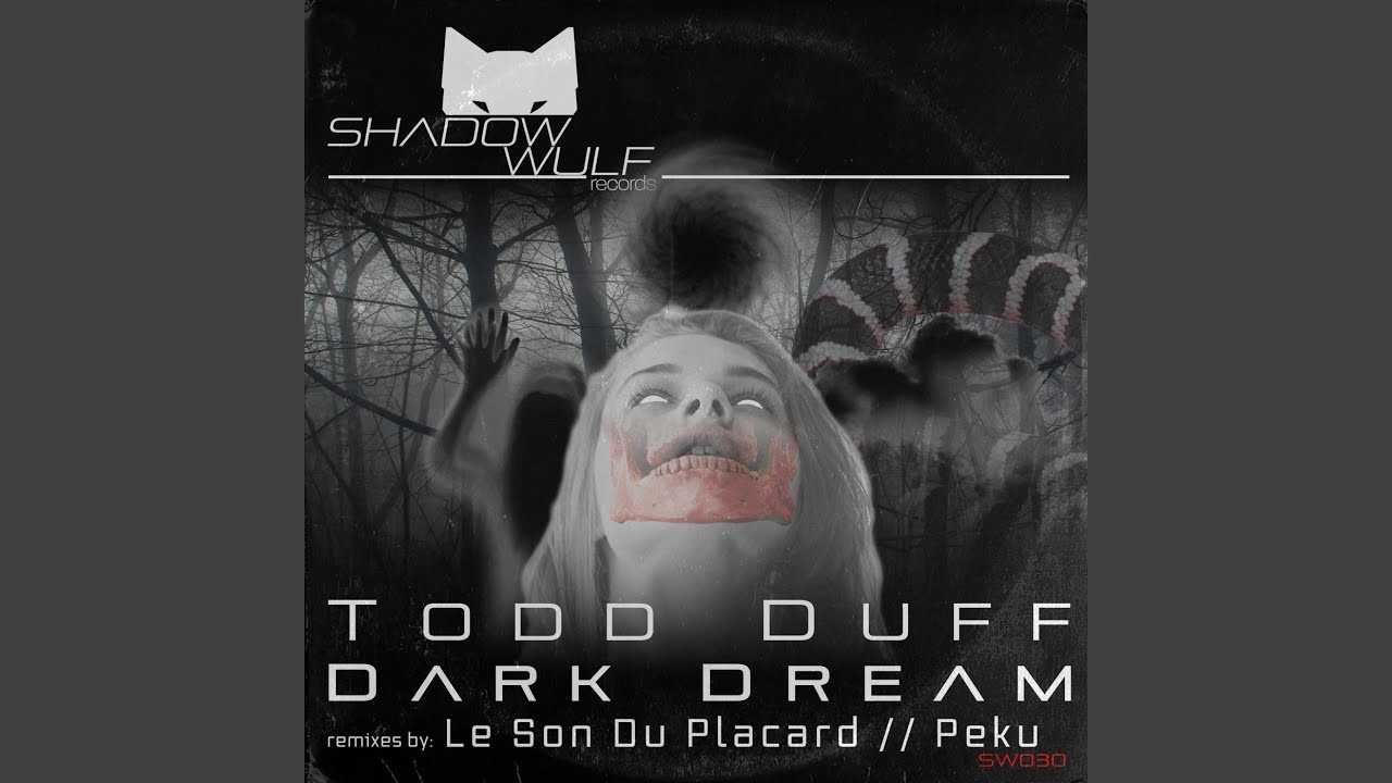 Dark Dream (Le Son Du Placard Remix)