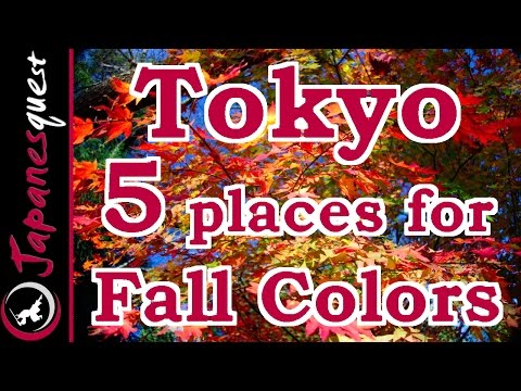 top-5-places-to-see-the-fall-colors-of-tokyo!