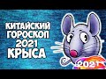 Крыса🐀 Китайский Гороскоп на 2021 год Быка