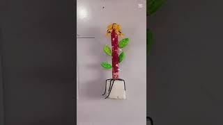 Activity  Science project  grade 7th date 27 April 2026 The Smart School Bhakkar campus