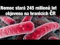 TIP#91 Objev 245 milionů let staré nemoci, Geneticky upravená prasata, Letadlo na elektřinu