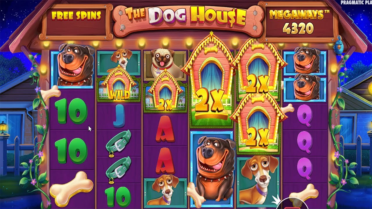 Dog house слот играть dog houses info