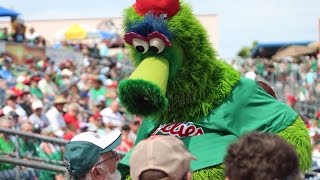 Florida 2016 - Phillie Phanatic - Bright House Field - St. Patrick's Day