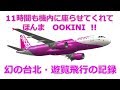字幕-地獄ピーチpeach MM23便 台北行 機内に11時間も閉じ込められた挙句...