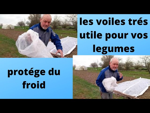 Les voiles de forçage au potager : utilisations, définitions