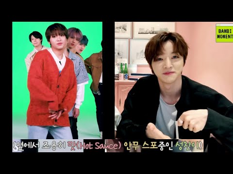 [NCT(엔시티)/정우/성찬] 성찬이가 부르는 엔시티드림의 ♪고래🐳(Dive Into You) 근데 이제 맛(Hot Sauce) 안무 스포를 곁들인