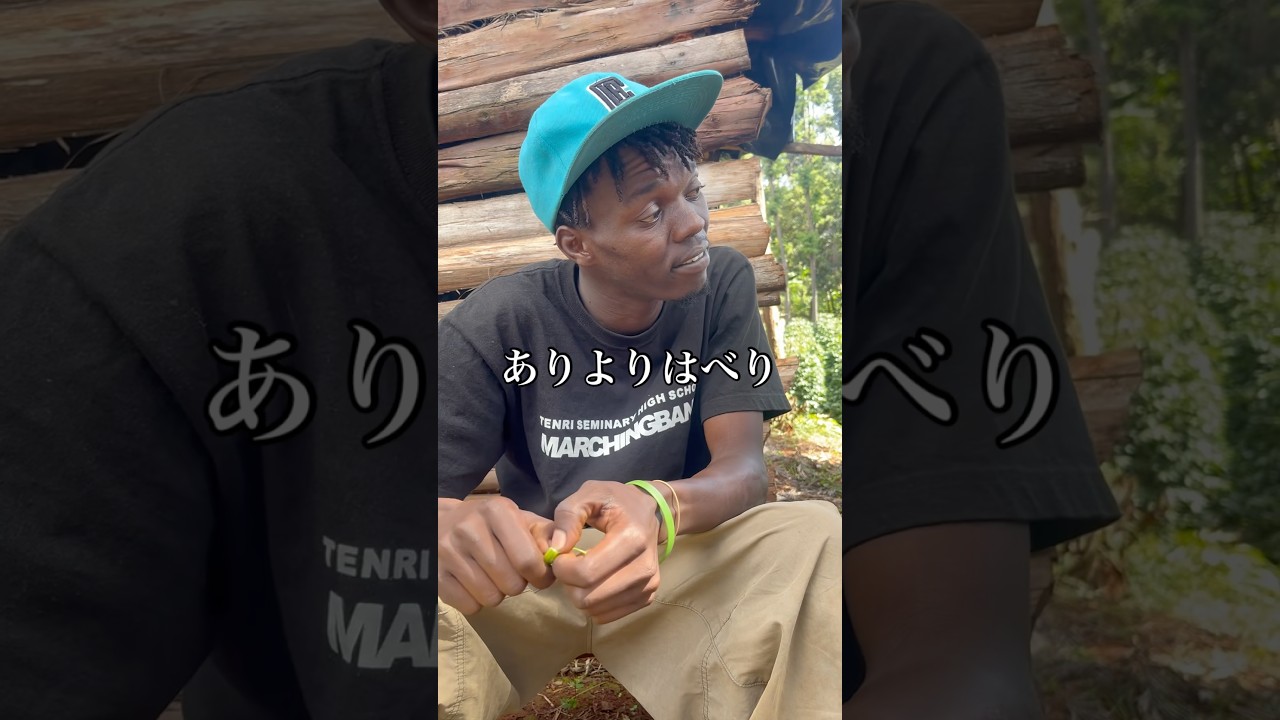 国語の授業で習った単語