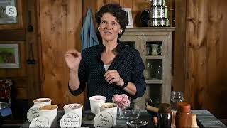 Blue Jean Chef 1-Quart Thermoelectric Ice Cream Maker on QVC screenshot 5