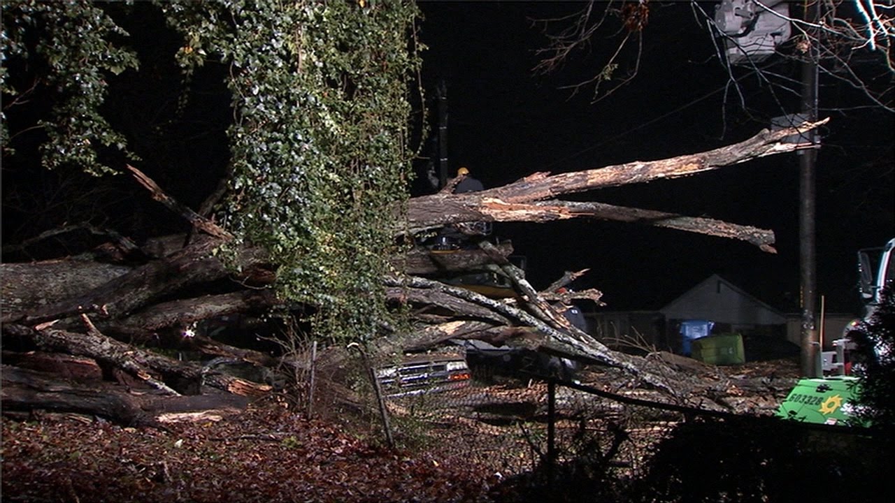 Strong storms leave behind fallen trees, damage in metro Atlanta - YouTube