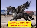 Sun Live - Chat GPT Horse Questions Evaluated - Great Questions &amp; Answers