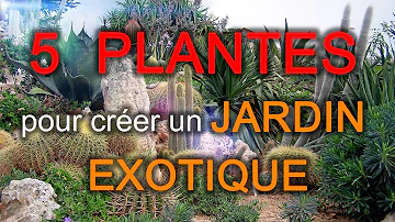 Comment faire un beau jardin exotique ?