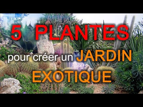Vidéo: Jardiner avec des plantes exotiques - Savoir-faire du jardinage