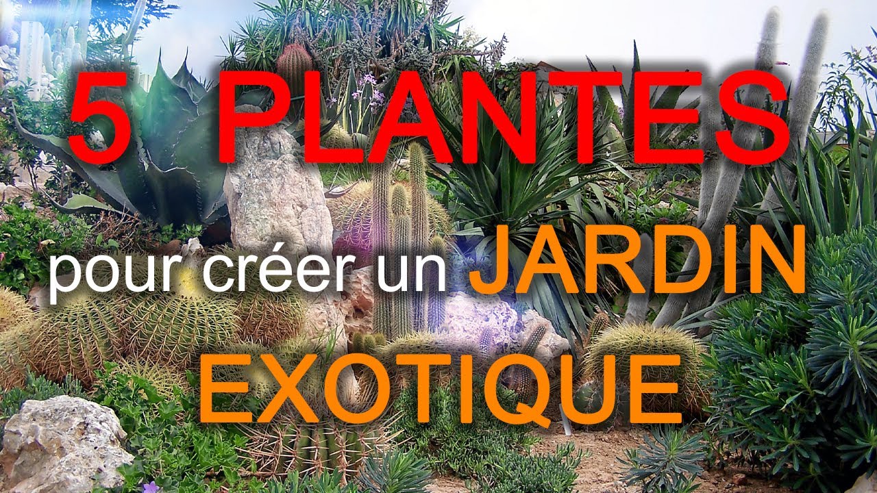 JARDIN EXOTIQUE : 5 Plantes à Avoir ABSOLUMENT !! [Plantes