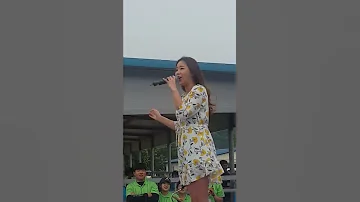 코요테 신지 아이스께끼 